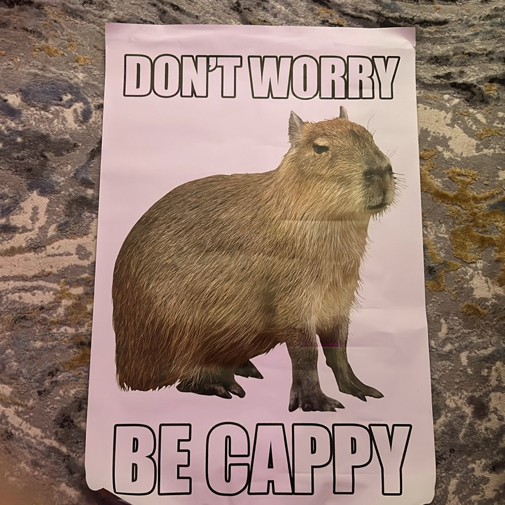 A “Don’t Worry Be Cappy” Poster